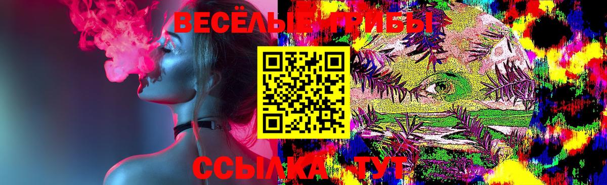 Псилоцибиновые грибы Cubensis  Вход с VPN  Минусинск 